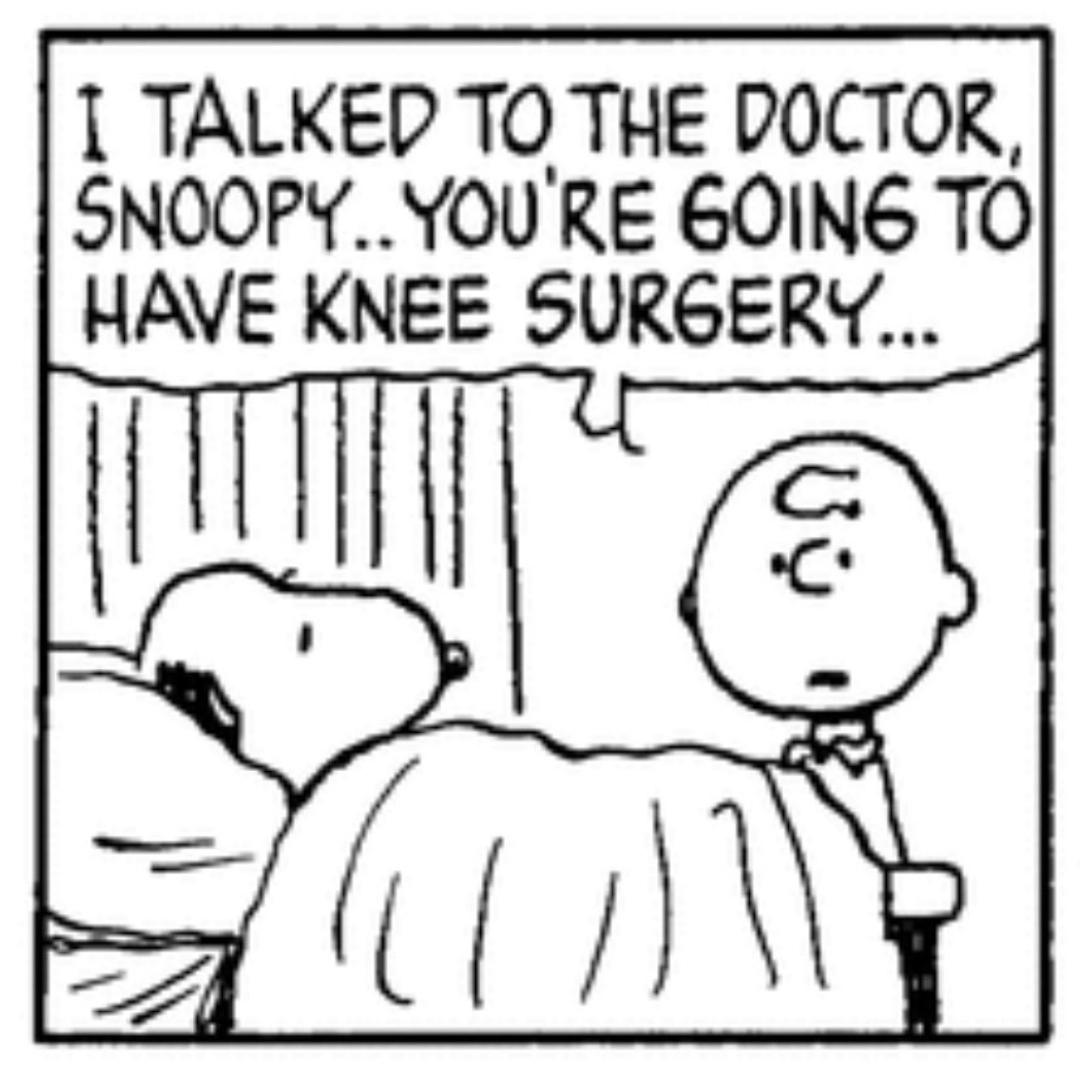 knee surgery memes