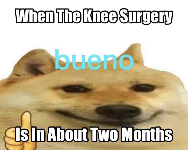 knee surgery memes